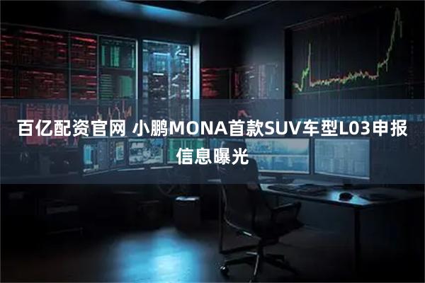 百亿配资官网 小鹏MONA首款SUV车型L03申报信息曝光