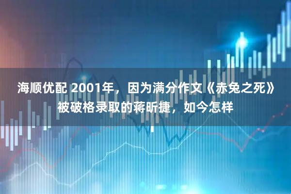 海顺优配 2001年，因为满分作文《赤兔之死》被破格录取的蒋昕捷，如今怎样